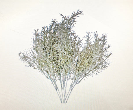 imagine produs Asparagus 35cm x7fire