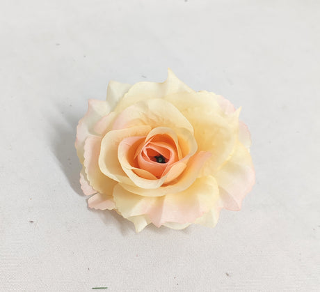 imagine produs Cap trandafiri 12buc lt peach
