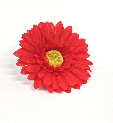 imagine produs Cap gerbera 9.5cm S/24 rosu