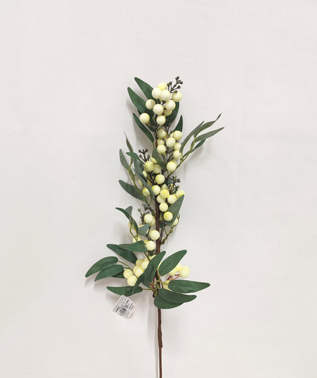 imagine produs Creanga cu frunze eucalypt/bilute crem