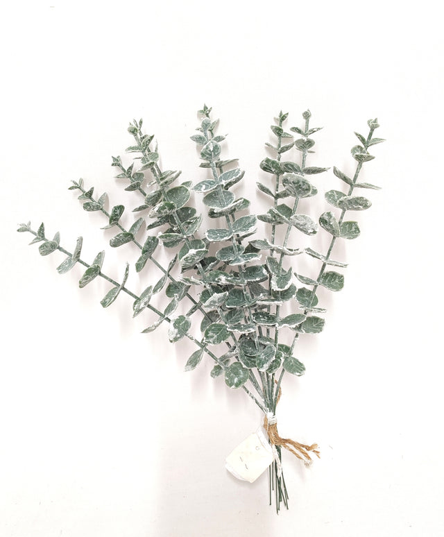 imagine produs Buchet eucalypt inzapezit x10