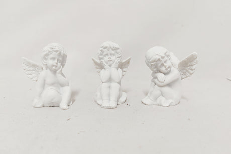 imagine produs Fig.ingeras dif.ingeras 7cm
