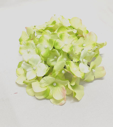 imagine produs Cap hortensie 15cm verde deschis