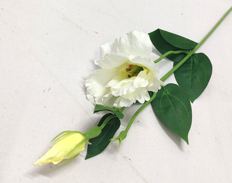 imagine produs Fir lisianthus 48cm x12 alb