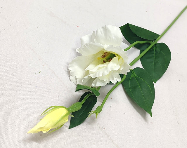 imagine produs Fir lisianthus 48cm x12 alb