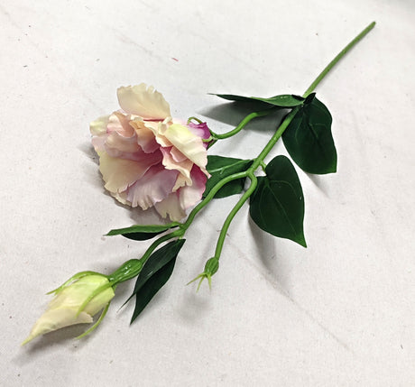 imagine produs Fir lisianthus 48cm x12 nalba