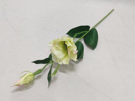 imagine produs Fir lisianthus 48cm x12 verde/roz