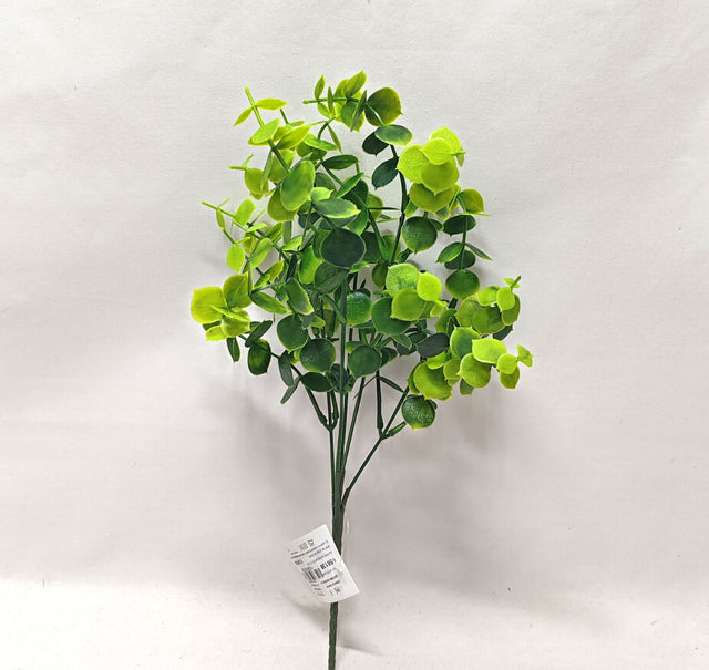 imagine produs Buchet eucalypt x5 H:34cm