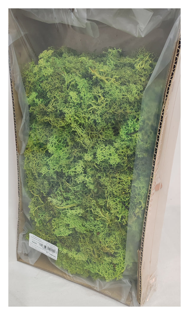 imagine produs Muschi islanda (coral) verde deschis