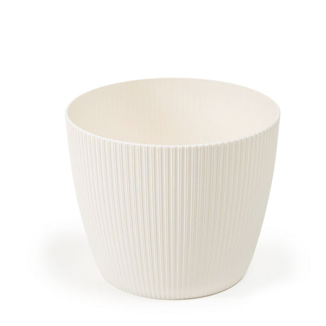imagine produs Ghiveci Magnolia Jumper 110mm crem