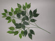 imagine produs Creanga ficus cu 42 frunze s/12