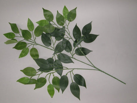 imagine produs Creanga ficus cu 42 frunze s/12
