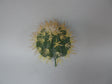 imagine produs Suculente artificiale 10x10cm 70256