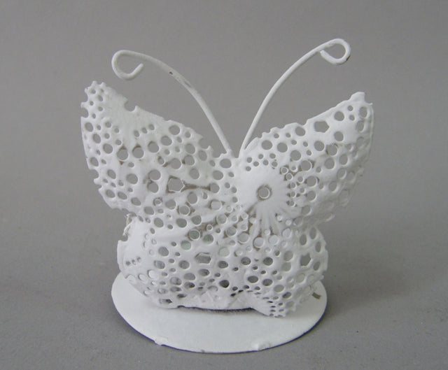 imagine produs Sup. candela model fluture 6x7cm 5109