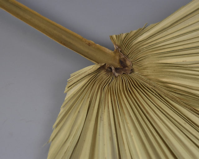 Frunza palmier natur forma inima 40x30cm