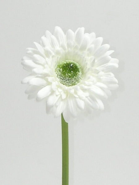 imagine produs Fir gerbera 48cm