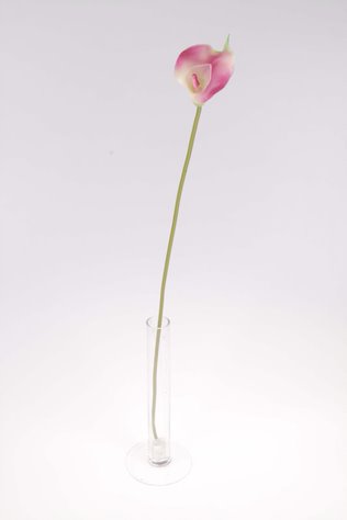 imagine produs Fir cale latex h:58cm