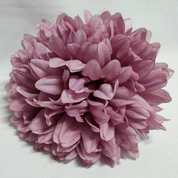 Cap crizanteme 18cm S/6 nalba