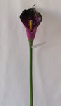 imagine produs Fir cale extra 70cm