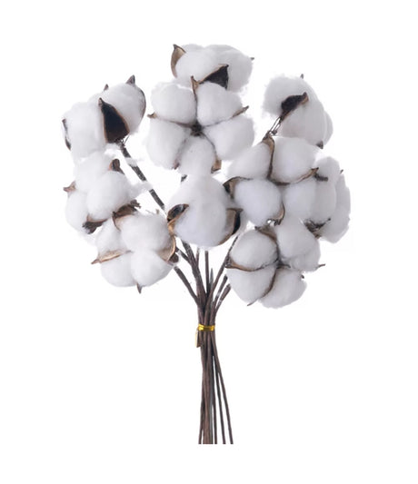 imagine produs Creanga flori de bumbac 33cm S/10