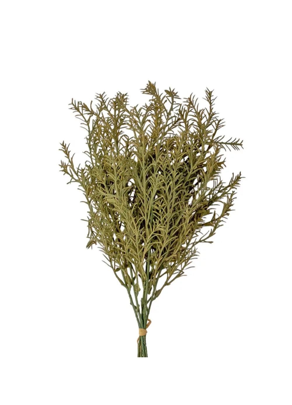 imagine produs Legatura rozmarin 47cm X6