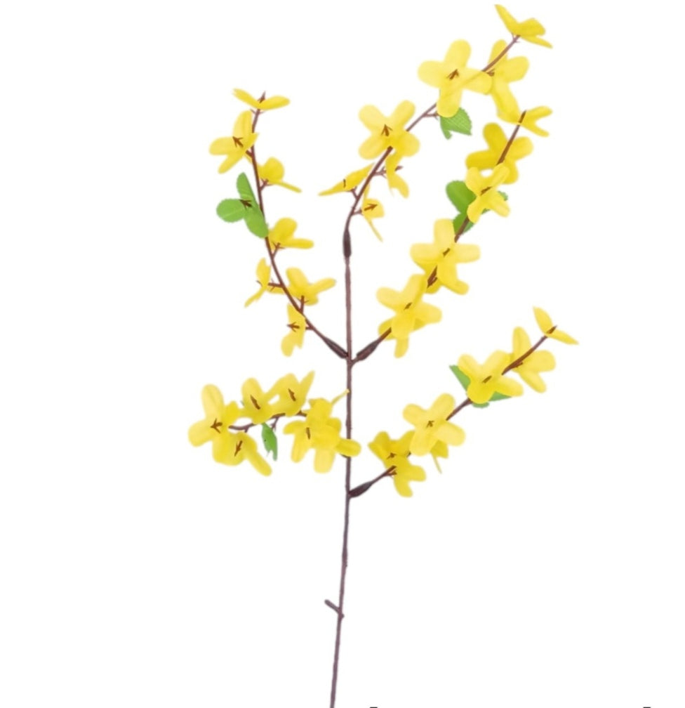 imagine produs Fir forsitia x12 H:50cm