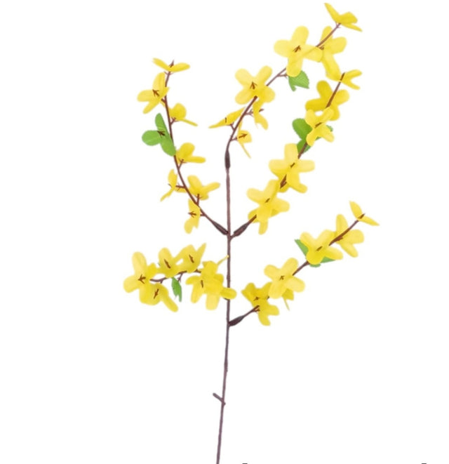 imagine produs Fir forsitia x12 H:50cm