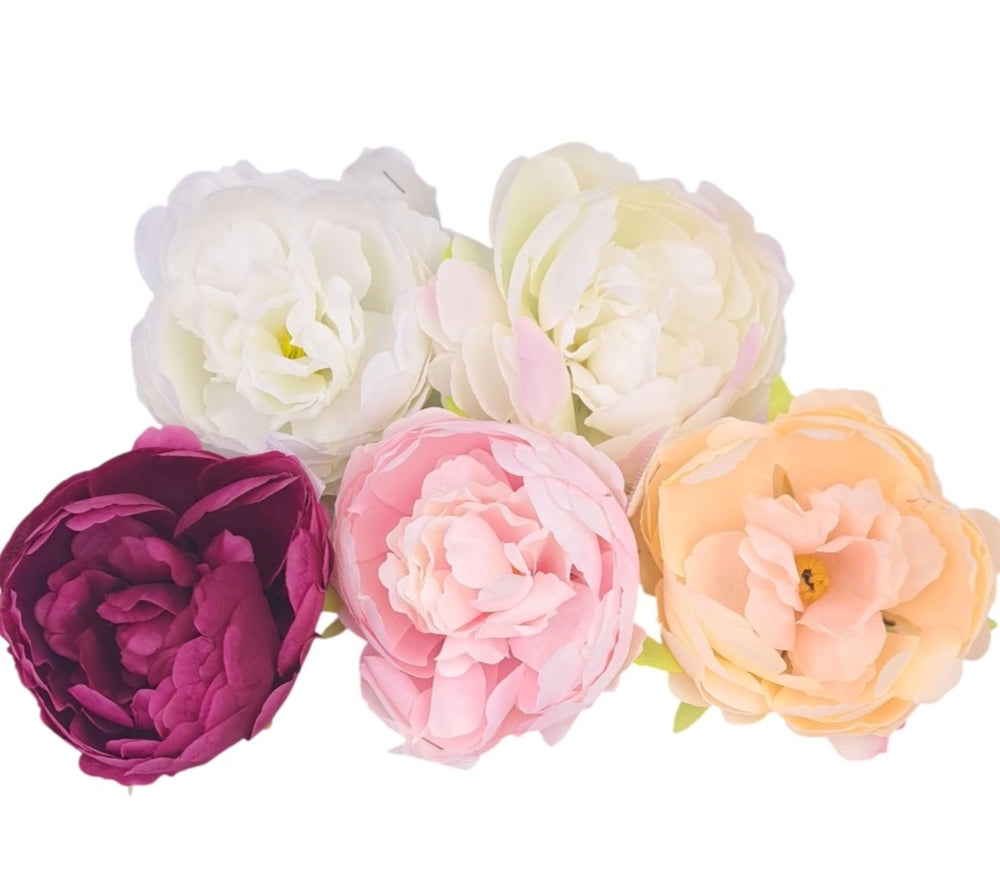 imagine produs Cap peonie 8cm S/24 culori mixte