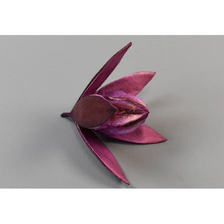 Wild lilly mov