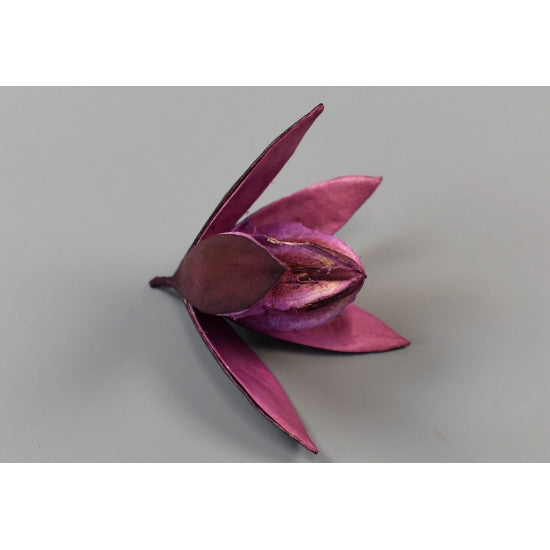 Wild lilly mov