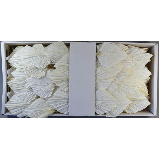 Frunza palmier mediu inalbit 100buc/pachet