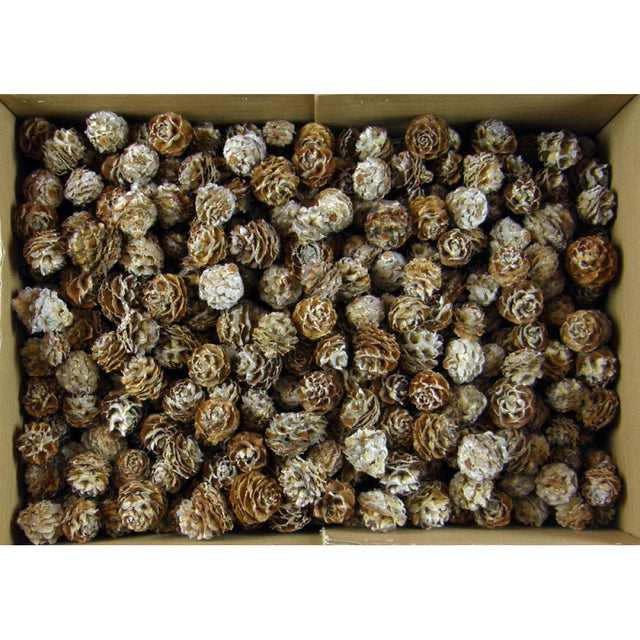 Tortum natur 2kg