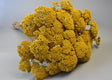 Image for Achillea natur 0,2kg/pachet