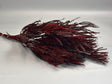 Image for Feriga cu ramuri 150gr bordeaux