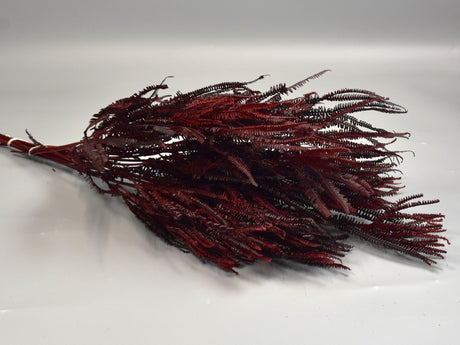 Image for Feriga cu ramuri 150gr bordeaux