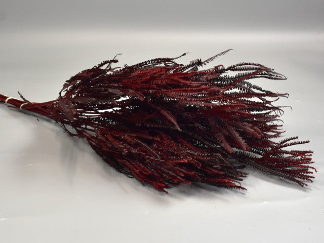Image for Feriga cu ramuri 150gr bordeaux
