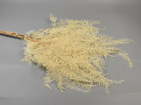 Image for Frunze feriga inalbit