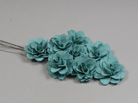 Image for Flori acacia 6cm vopsit aqua