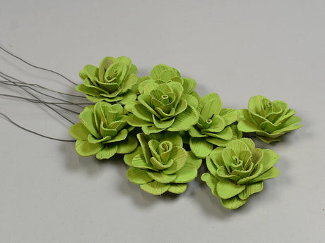 Image for Flori acacia vopsit verde deschis