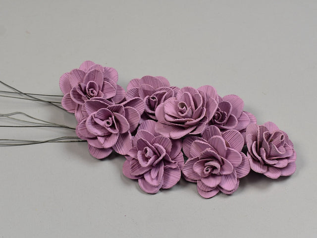 Image for Flori acacia 6cm vopsit nalba