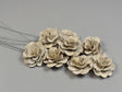Image for Flori acacia 6cm cu chiciura