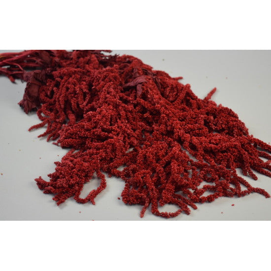 Amaranthus caudatus preparat rosu 2x0.2kg