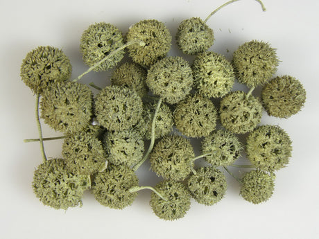 Image for Roade ambra vopsit galben