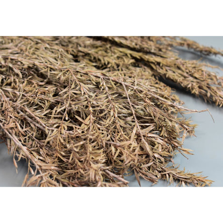 Asparagus uscat 250gr cu chiciura roz
