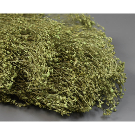 Broom bloom 100gr vopsit verde deschis
