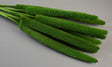 Image for Babala verde deschis