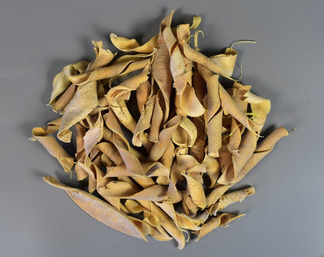Image for Pastai catifelate inalbit