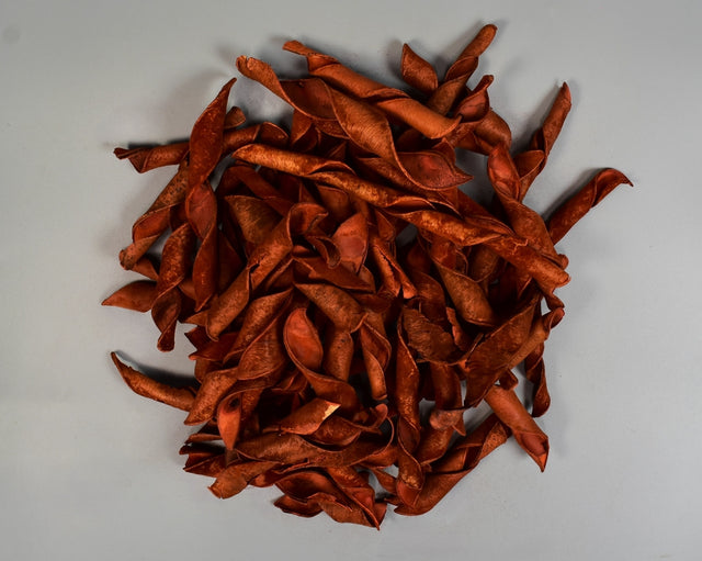 Image for Pastai catifelate portocaliu