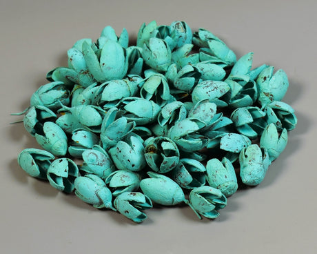 Image for Bakuli vopsit aqua