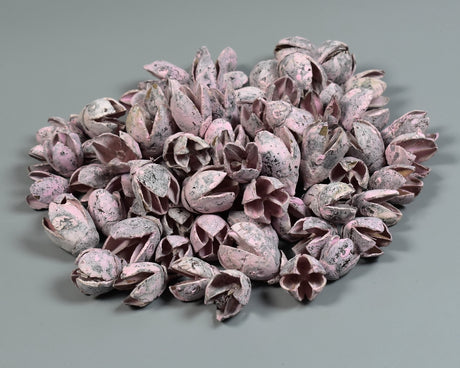 Image for Bakuli vopsit roz